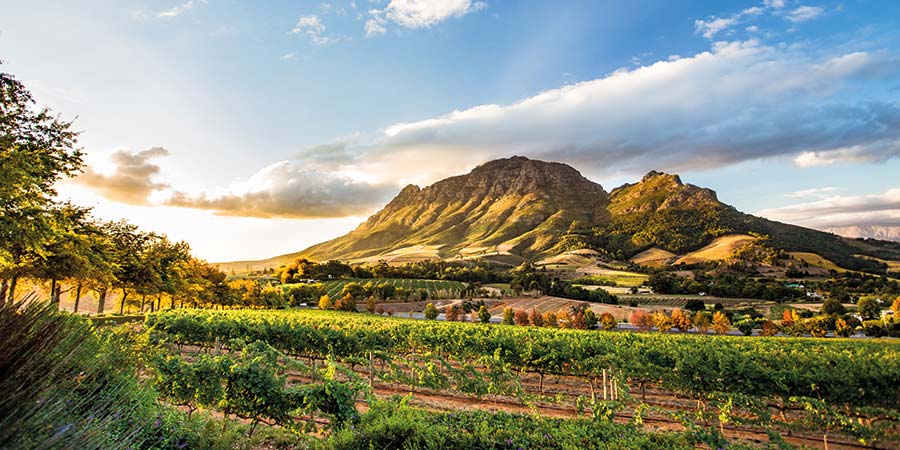 Sampling wines in the Stellenbosch Valley