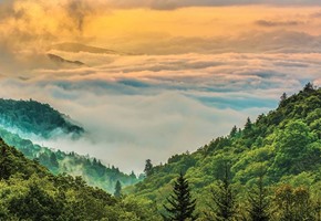 Tracks of the Deep South