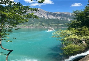 Fjb